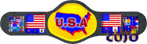 US Heavyweight Title